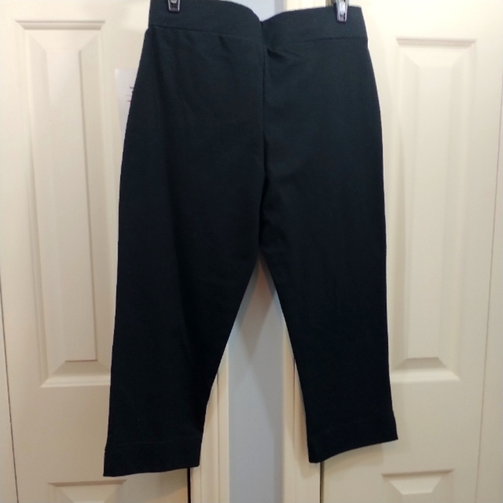 Women with Control Black Crop Pants XS